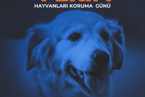 4 EKİM HAYVANLARI KORUMA GÜNÜ